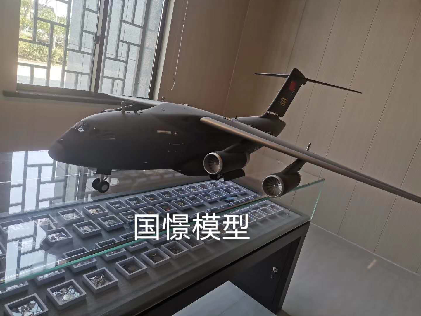 汪清县飞机模型